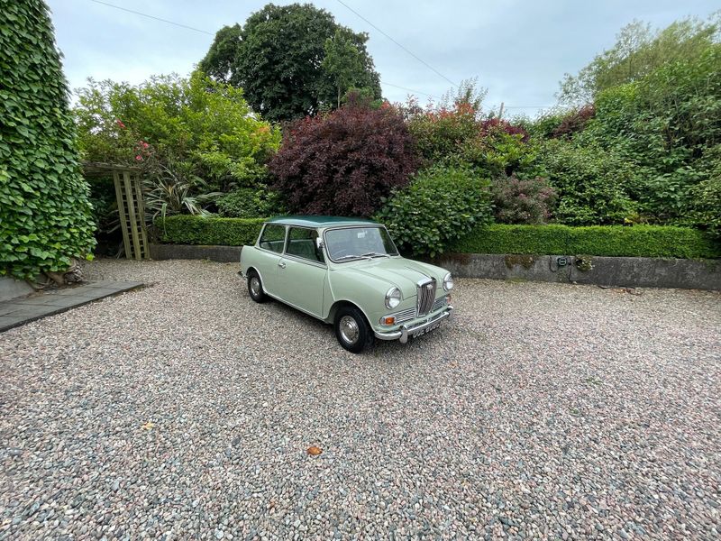 Wolseley Hornet: Models, Specs and Buyer’s Guide (4/4)